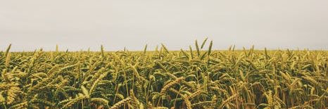LoganStenger's profile banner image