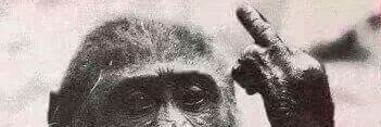 PapiCiinco's profile banner image