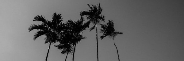 RialtaEdiciones Profile Banner