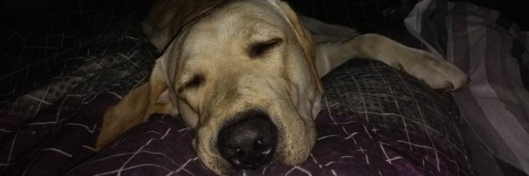 AgusLopezs's profile banner image