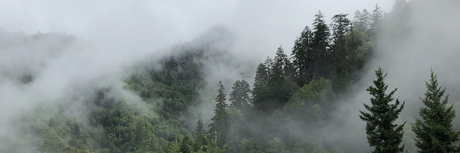 Mackkkk_17's profile banner image