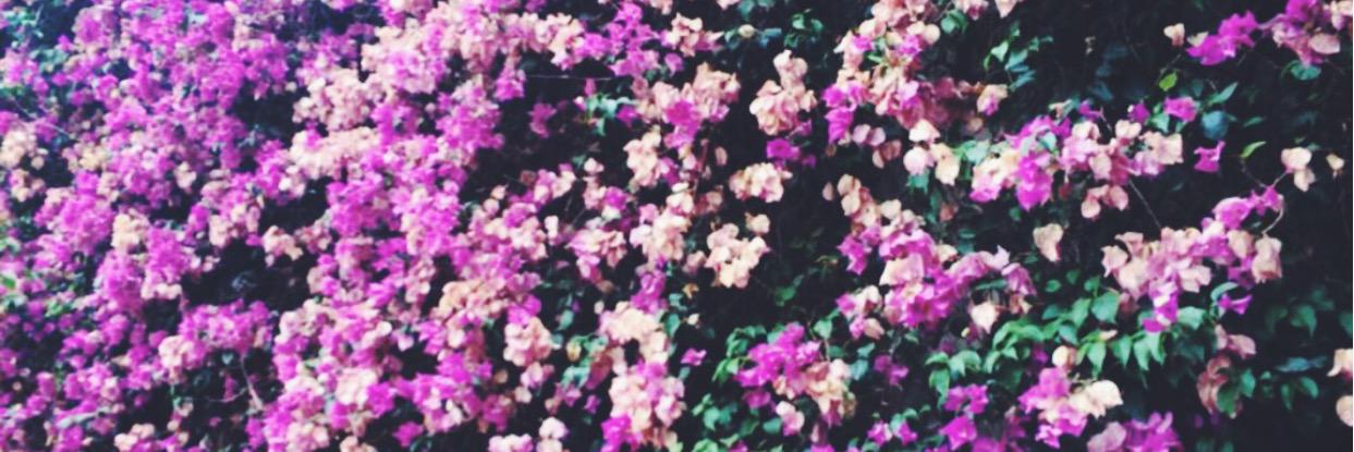 SammyBloodgood's profile banner image