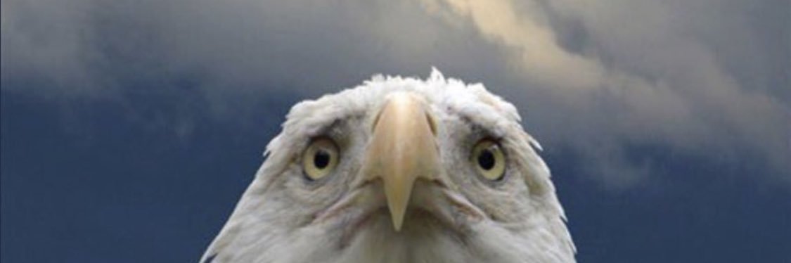 a_yaskanich's profile banner image