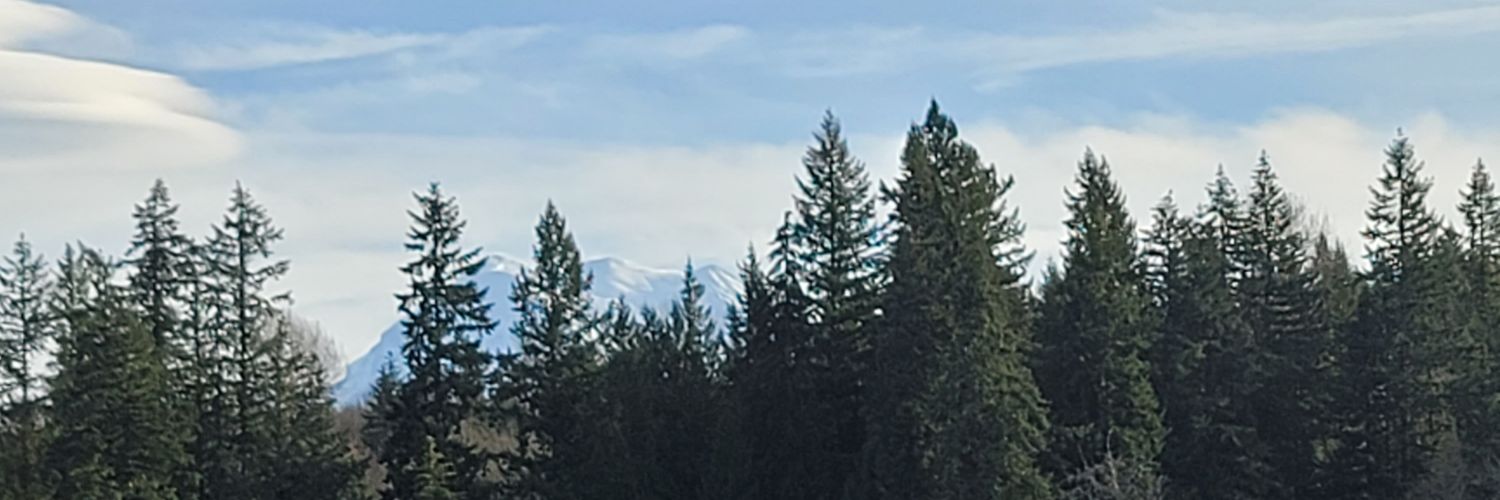 NWJeffro's profile banner image