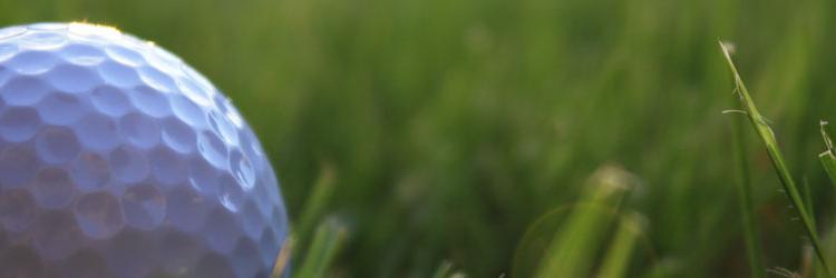 Grayson County Golf banner