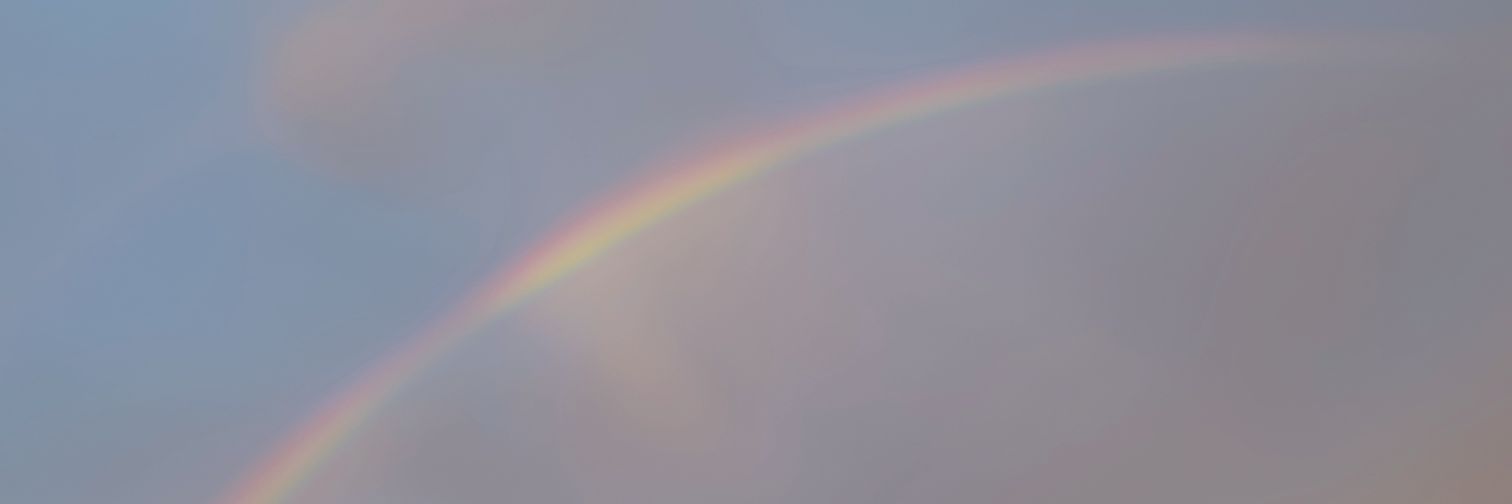 𝐃𝐀𝐙𝐙𝐋𝐈𝐍𝐆 𝐌𝐄𝐌𝐎𝐑𝐘 banner