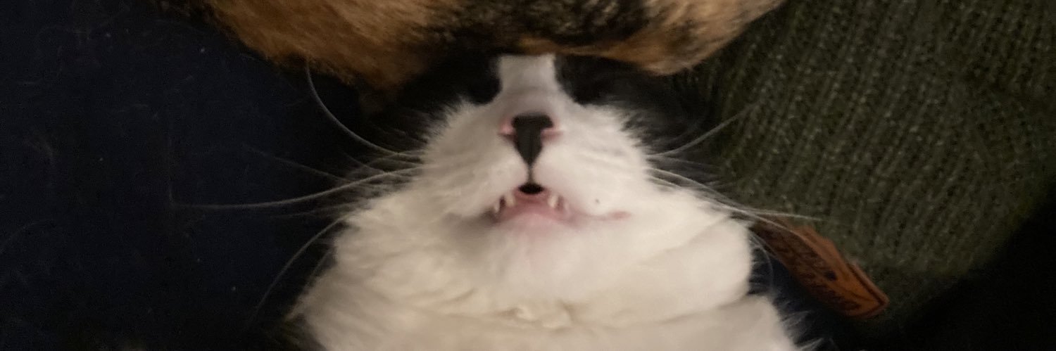 cullydunning's profile banner image