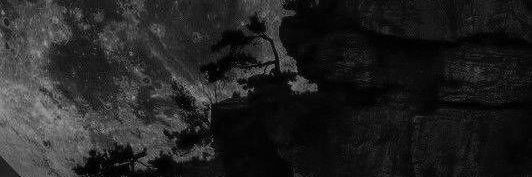 jaden banner
