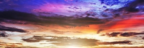 harpschakde's profile banner image