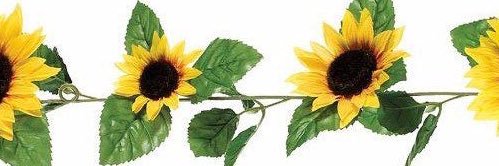 DimeAreeh's profile banner image