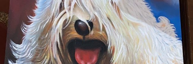 apalma568's profile banner image