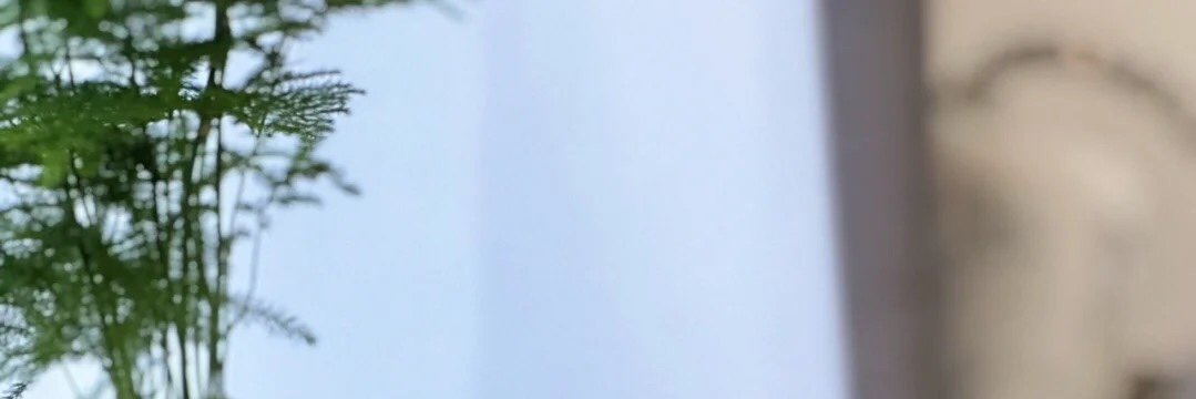 ladyushi's profile banner image