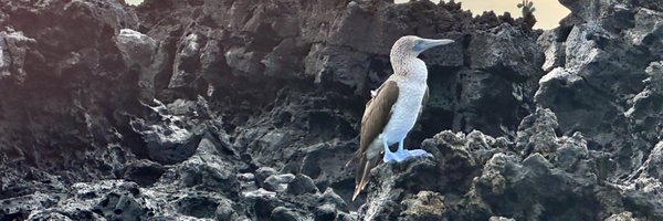 docjsw Profile Banner