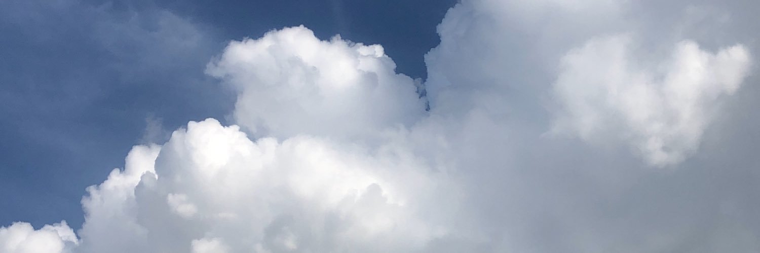 adam$ Josh Mvmphv banner