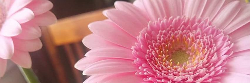 TiinaTheTiger's profile banner image