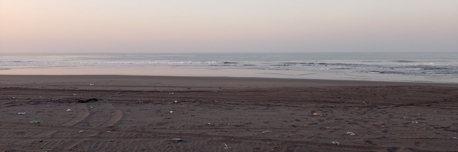 zulylpz's profile banner image