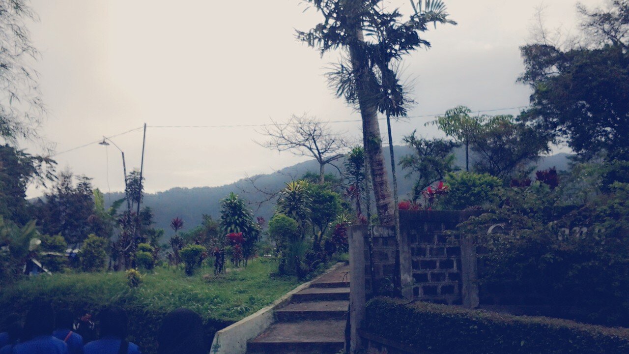 ayuhendayani's profile banner image