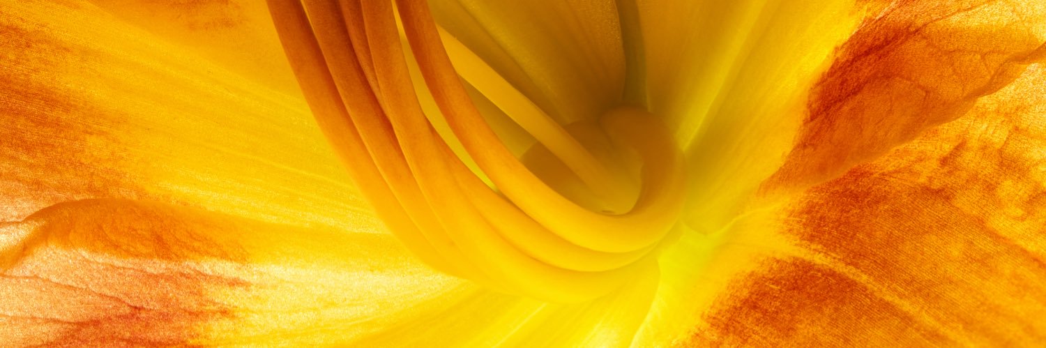 Steve Schaffner @glipsnort@mstdn.science banner