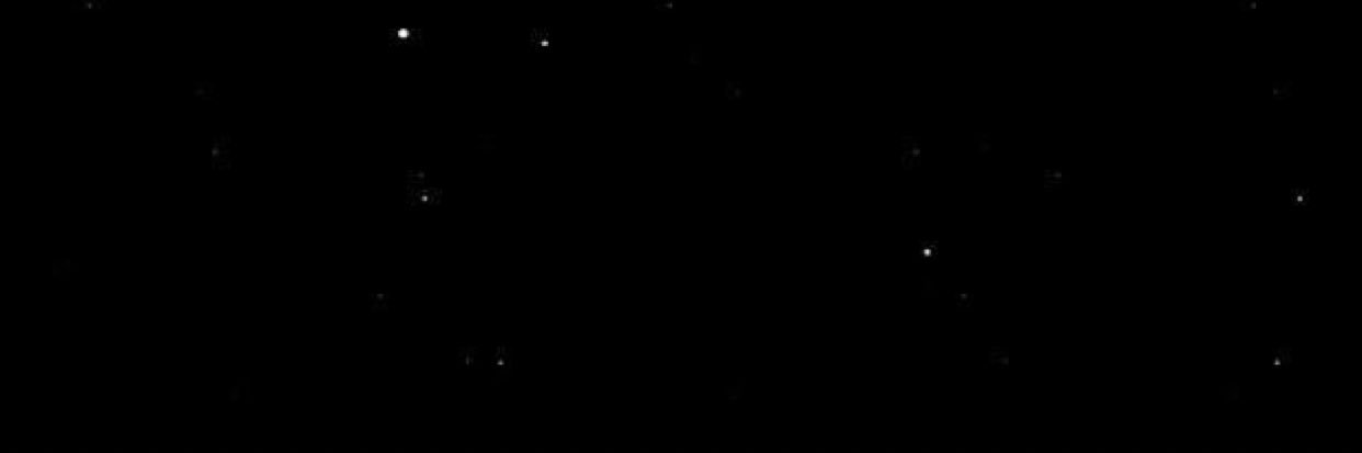 fernandagarzag_'s profile banner image
