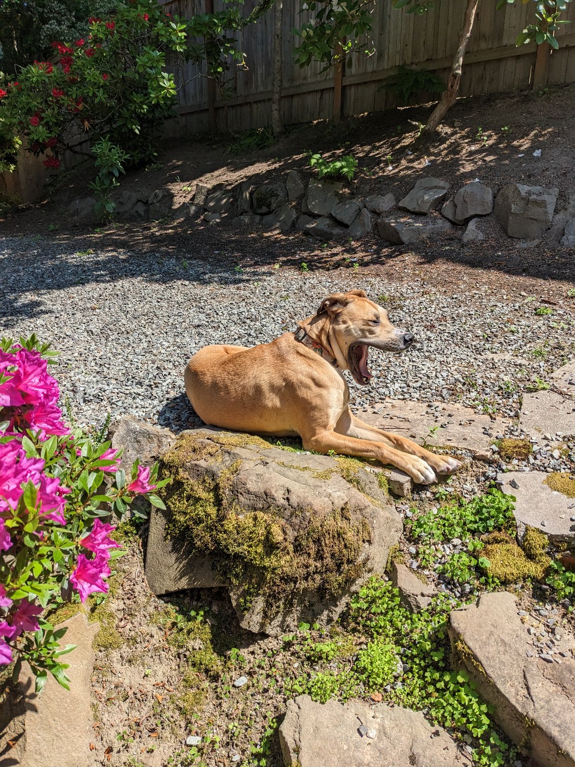 Zachary Charles banner