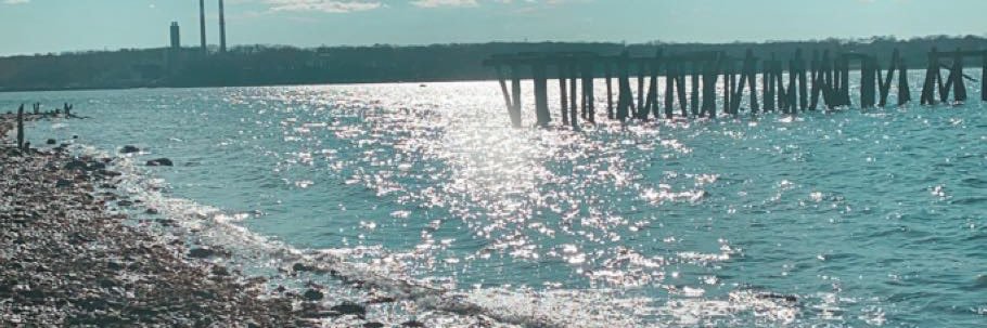 bella_lardaro's profile banner image