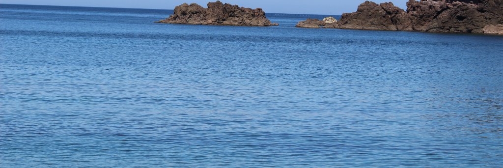 畑 慶行 banner