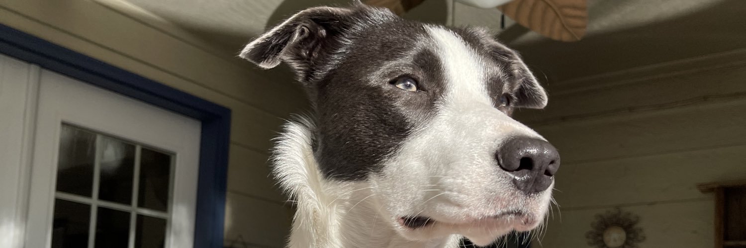 BascomBailey's profile banner image