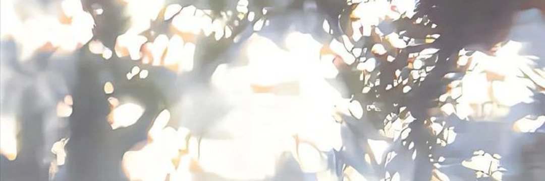 J. banner