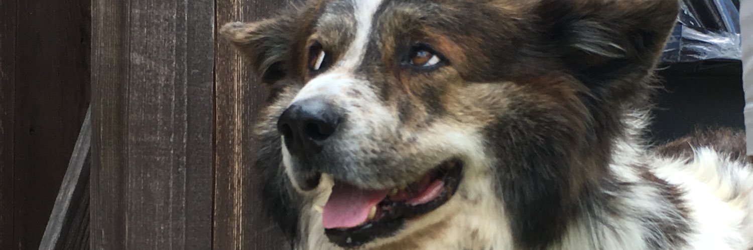 _toastyghost_'s profile banner image