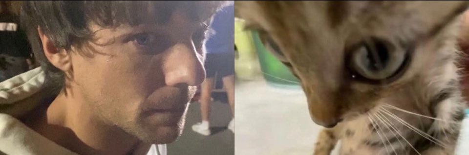 V₂₈ ⋆˚꩜.🍓 banner