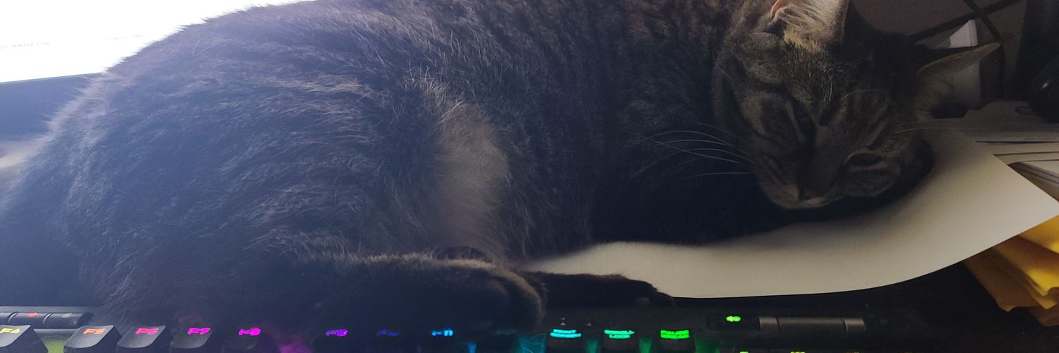OmegaBlades's profile banner image