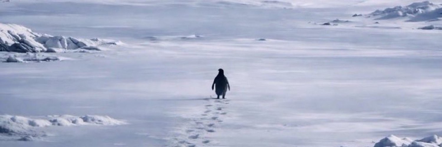 LewiSOL🀄️📈 banner