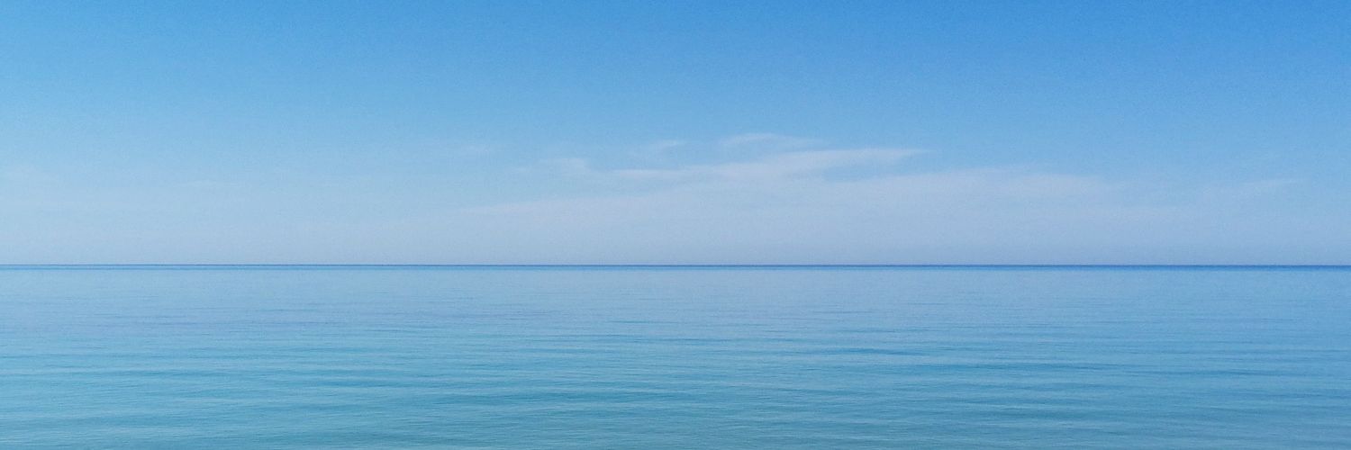 Carcharhinus🦈 banner