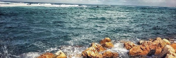 Savvylewis15 Profile Banner