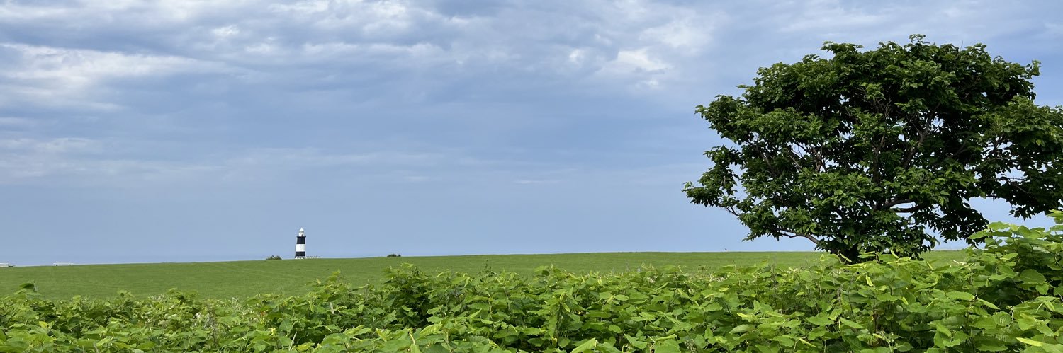 ookasira's profile banner image