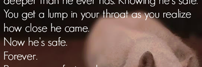 cackiesmum's profile banner image