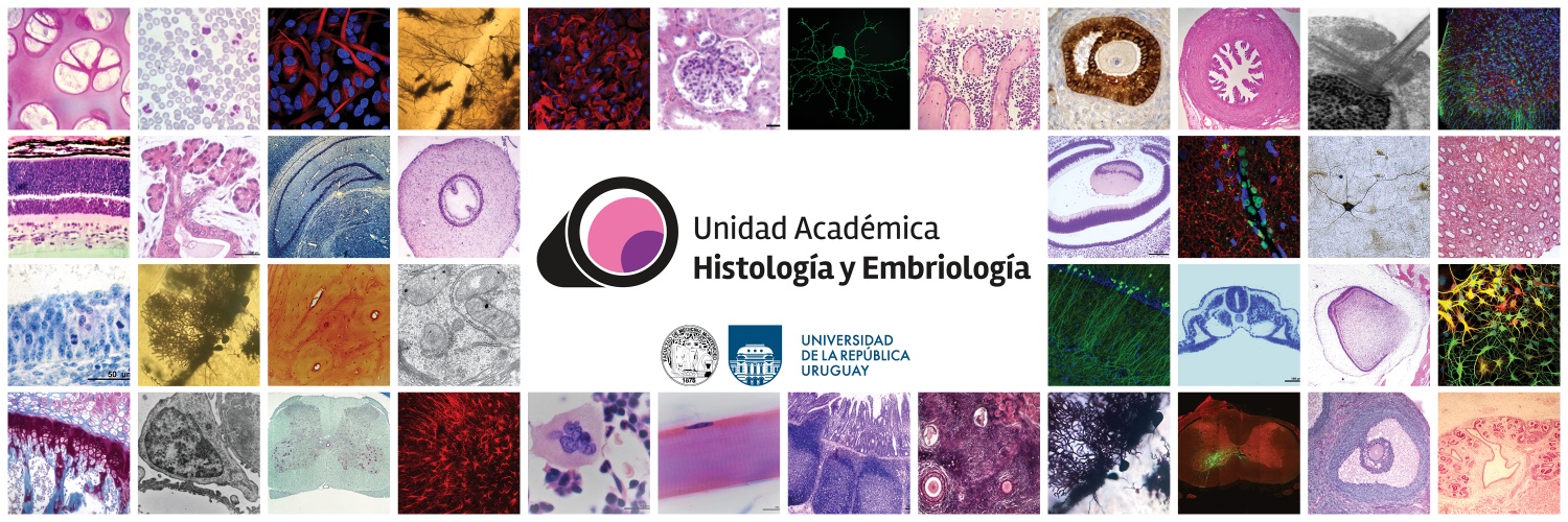 Histología y Embriología Fmed's banner