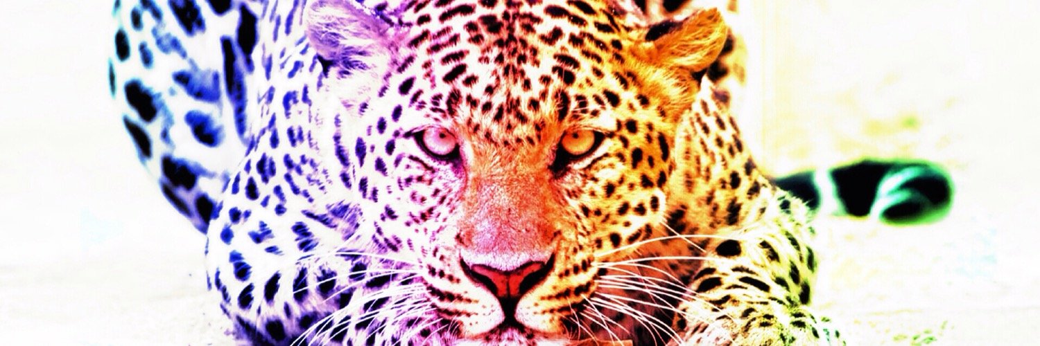 Wild_Heart18's profile banner image