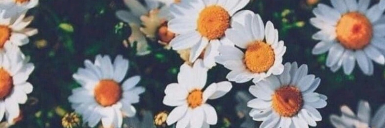 fabvalhalla4's profile banner image