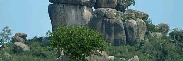 Thriving_luos Profile Banner