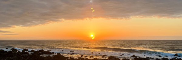 nobchanchyn Profile Banner