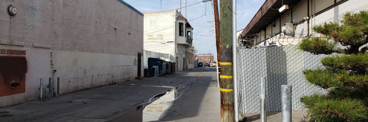 chris freedman banner