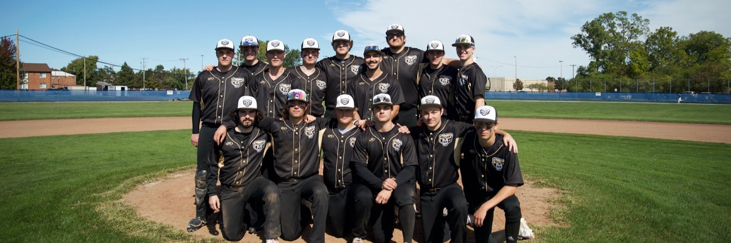 Oakland University Club Baseball banner