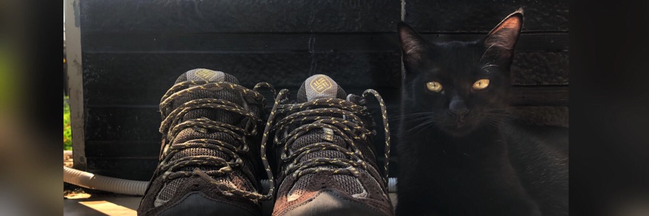 Omen Black Cat banner