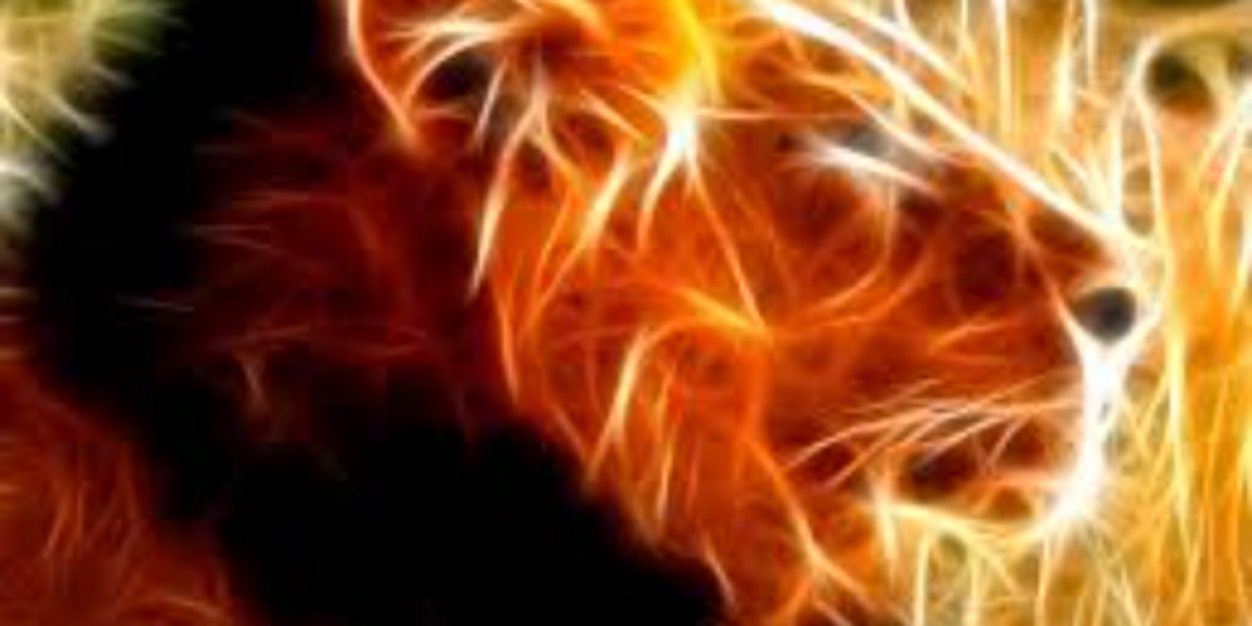 CjGoinKrazy banner