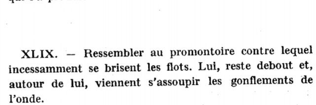 Ferdinand Lassalle banner