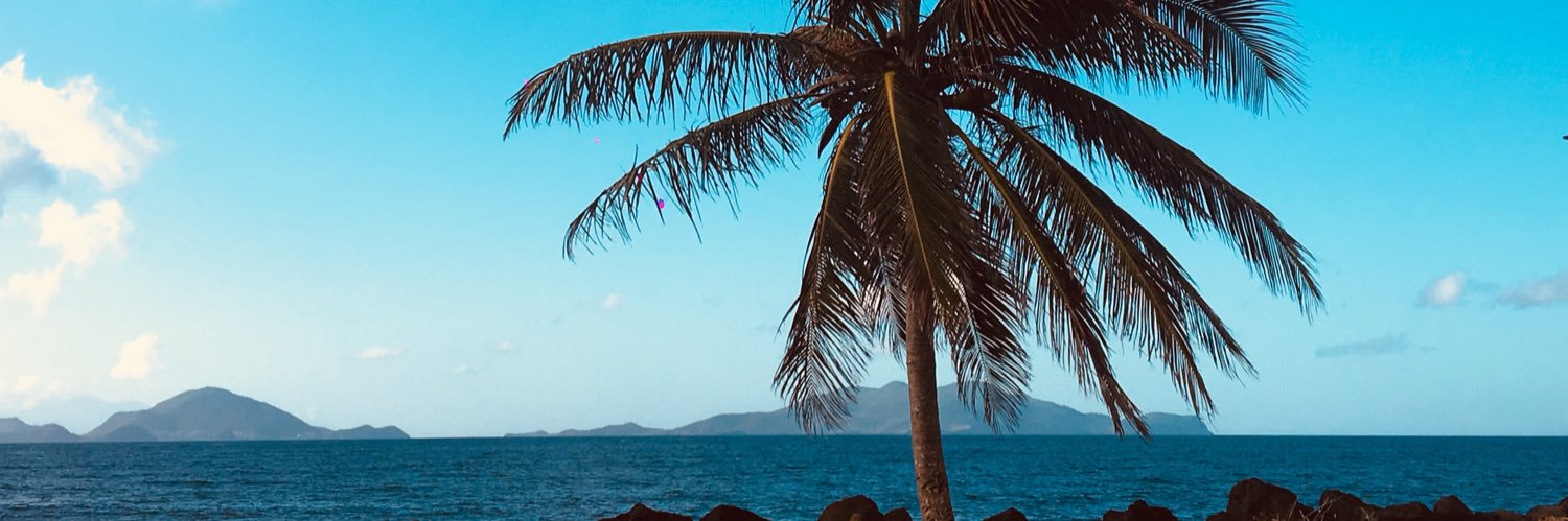 MlleMimixPretty's profile banner image