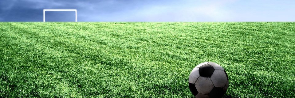 Ronald Sparks banner