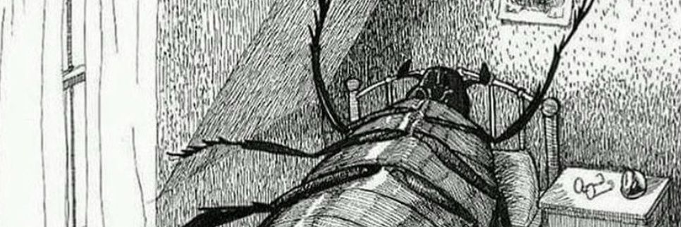 H_Dimitrie's profile banner image
