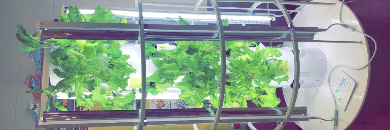 Mrs. Spock (Lowes) banner